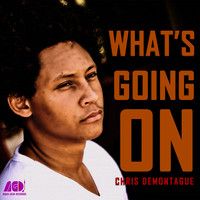 Chris DeMontague - What's Going On