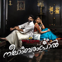 Ganesh Sundaram - Neelambarampol