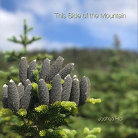 Joshua Hall - This Side of the Mountain