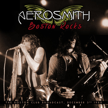 Aerosmith - Boston Rocks (Live)