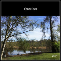 David Paul Mesler - Breathe 5