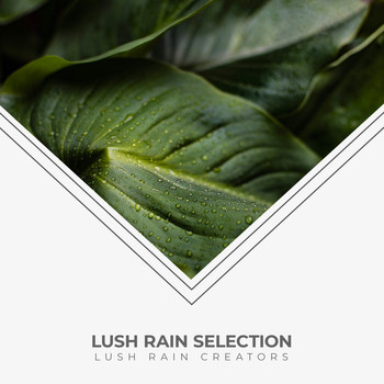 Lush Rain Creators - Lush Rain Selection