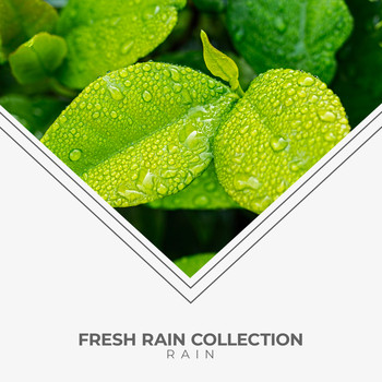 Rain - Fresh Rain Collection