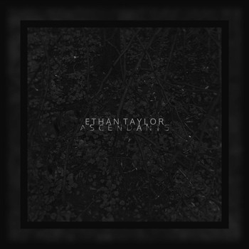 Ethan Taylor - Ascendants