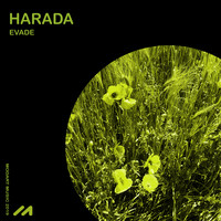 Harada - Evade
