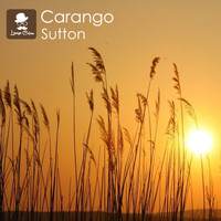 Carango - Sutton