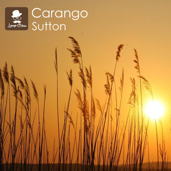 Carango - Sutton