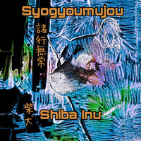 Shiba Inu - Syogyoumujou