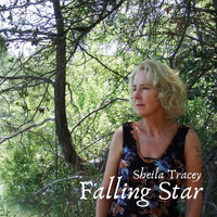 Sheila Tracey - Falling Star