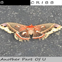B Cribb - Another Part of U