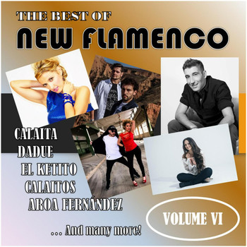 Various Artists - The Best of New Flamenco, Vol. VI