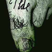 Tide - The Bad Sea