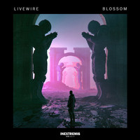 Livewire - Blossom