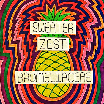 Sweater Zest - Bromeliaceae