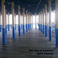 Dave Sheinin - The Lies of Summer