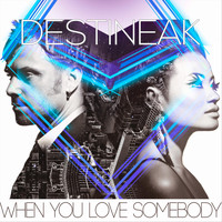 Destineak - When You Love Somebody