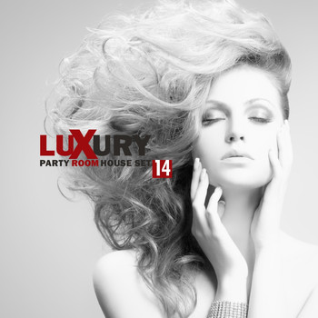 Various Artists - Luxury Party Room - House Set 14
