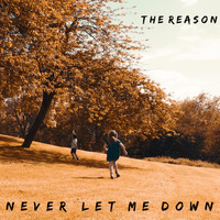 The Reason - Never Let Me Down