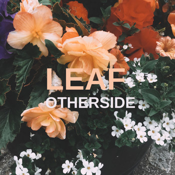 Leaf - Otherside