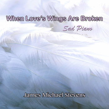 James Michael Stevens - When Love's Wings Are Broken - Sad Piano
