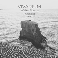Vivarium - Water Forms