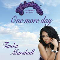Timeka Marshall - One More Day