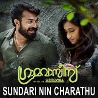 Vidhu Prathap - Sundari Nin Charathu (From "Gramavasies")