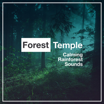 Calming Rainforest Sounds - Forest Temple