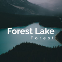 Forest - Forest Lake