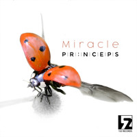 Prïnceps - Miracle