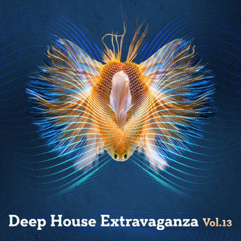 Various Artists - Deep House Extravaganza, Vol.13