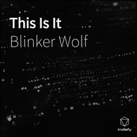 Blinker Wolf - This Is It