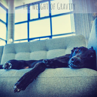 Dog Music, Meeresrauschen, Detente Spa Musique Collection - The Weight of Gravity