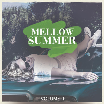 Various Artists - Mellow Summer, Vol. 2 (Just The Finest In Progressive House &amp; Electro House Music)