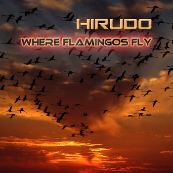 Hirudo - Where Flamingos Fly