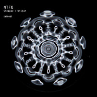 Ntfo - Sinapse / Wilson