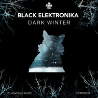Black Elektronika - Dark Winter