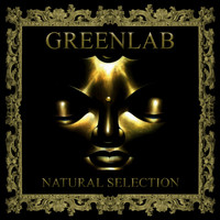Greenlab - Natural Selection