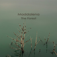 Maddalena - The Forest