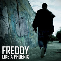 Freddy - Like a Phoenix