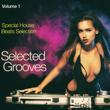 Various Artists - Selected Grooves, Vol. 1: Special House Beats Selection