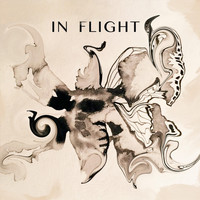 In Flight - Into the Light