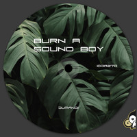 Jumanji - Burn A Sound Boy