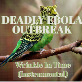 Deadly Ebola Outbreak - A Wrinkle in Time (Instrumental)