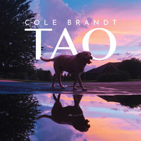 Cole Brandt - Tao