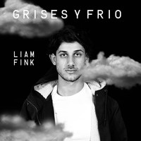 Liám Fink - Grises y Frío
