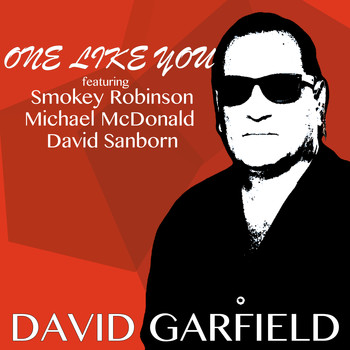 David Garfield - One Like You (Radio Version)