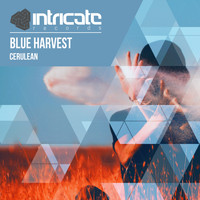 Blue Harvest - Cerulean
