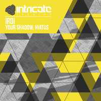 Irdi - Your Shadow, Hiatus