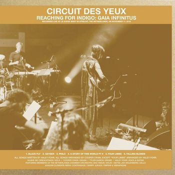 Circuit Des Yeux - Reaching for Indigo: Gaia Infinitus
